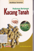 Pedoman Bertanam Kacang Tanah